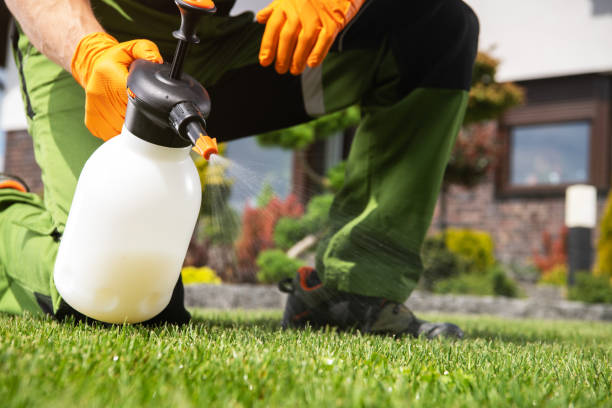 Best Best Pest Control Companies  in Honey Grove, TX