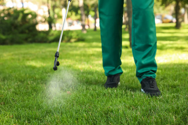 Best Residential Pest Control  in Honey Grove, TX