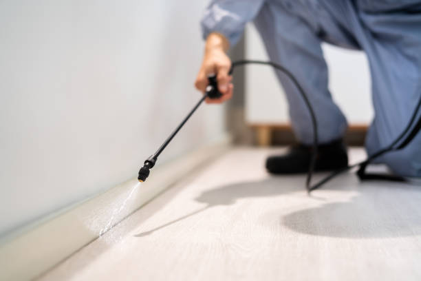Best Flea Control Services  in Honey Grove, TX