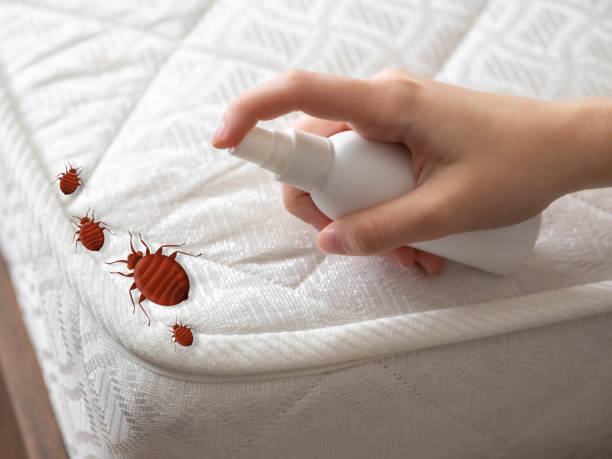 Best Commercial Pest Control Services  in Honey Grove, TX