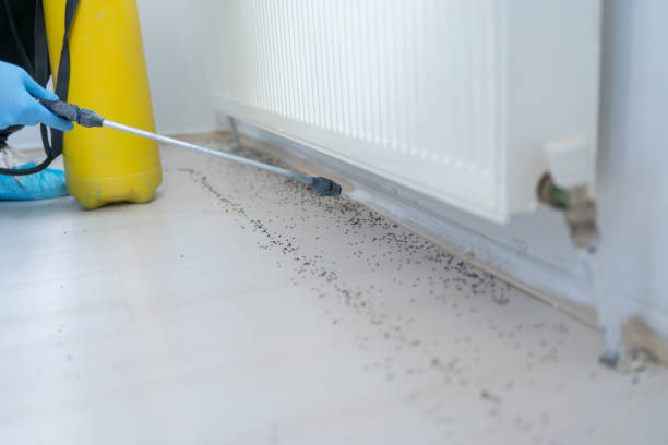 Best Best Pest Control Companies  in Honey Grove, TX