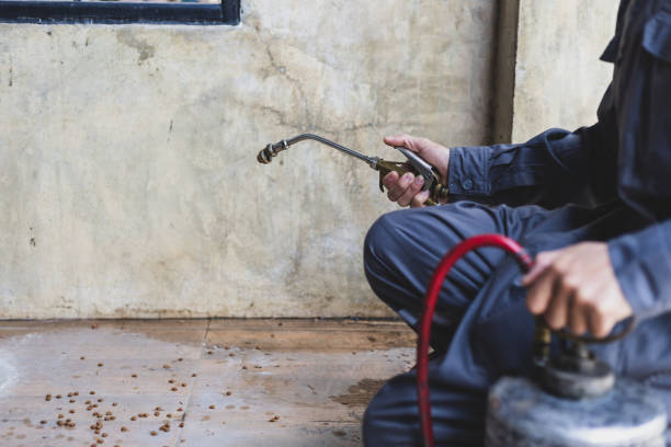 Best Local Pest Control Services  in Honey Grove, TX