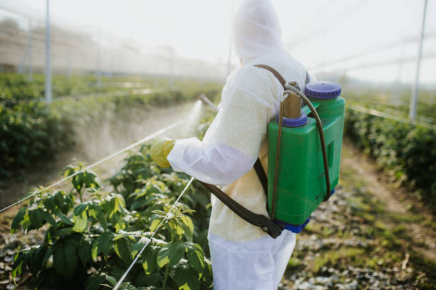 Best Pest Inspection Near Me  in Honey Grove, TX